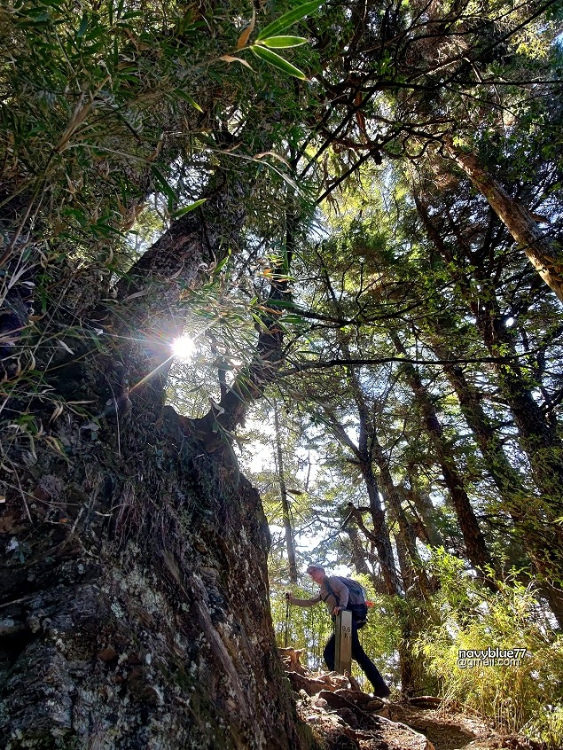 畢祿山 (24).jpg