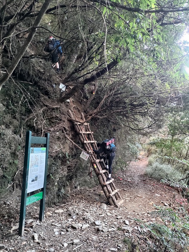 畢祿山 (46).jpg