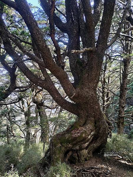 庫哈諾辛山 (26).jpg