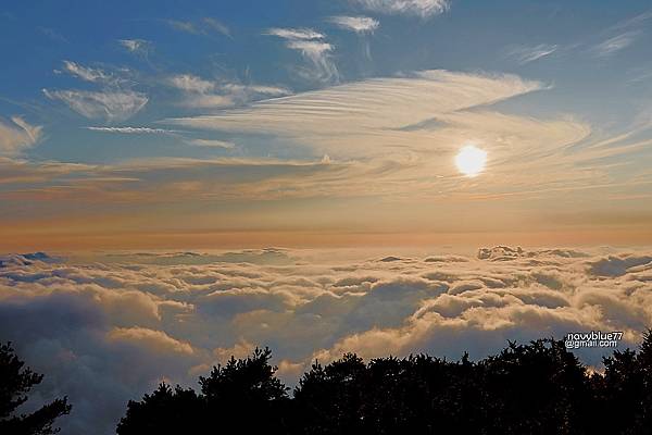 庫哈營地 (7).JPG