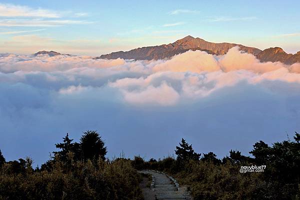 庫哈營地 (11).JPG