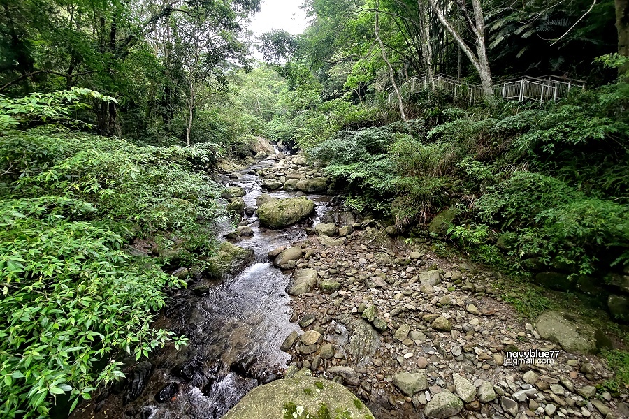 四十份湧泉 (16).jpg