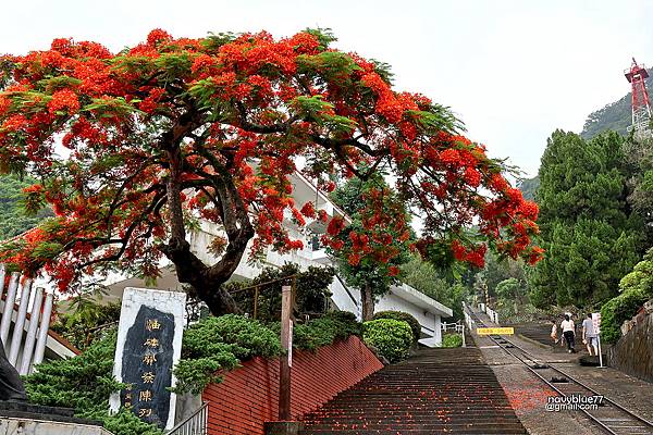 油礦陳列館 (1).JPG