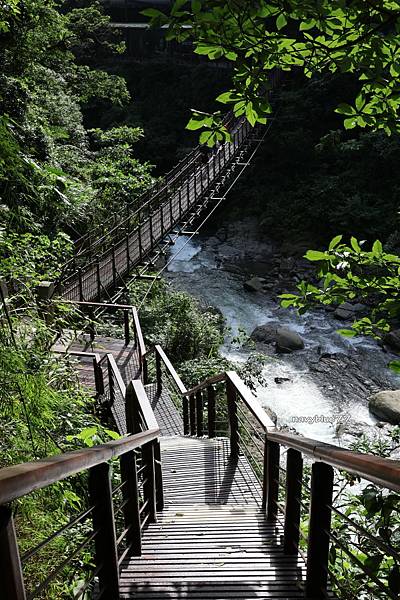 觀音瀑布 (13).JPG