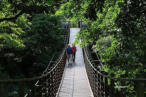 觀音瀑布 (12).JPG