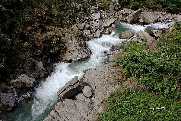 觀音瀑布 (15).JPG