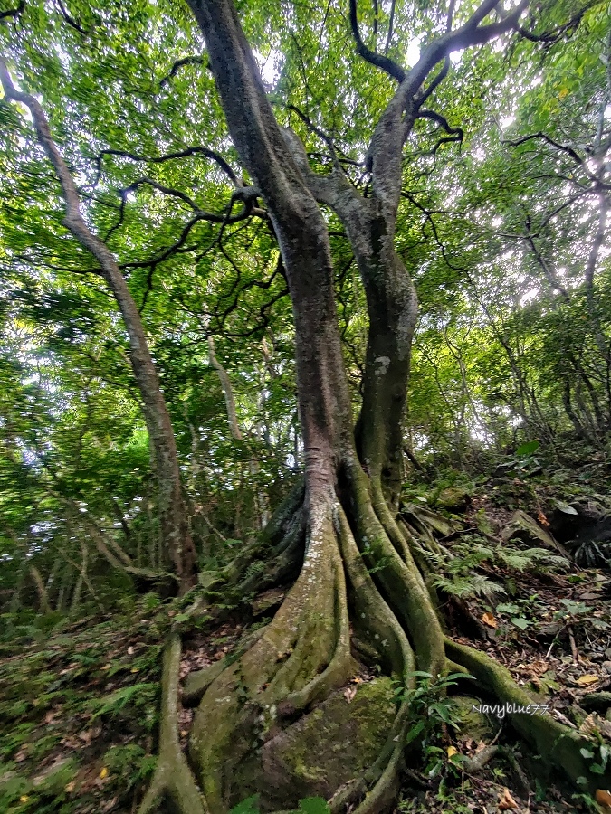 神祕海灘 (6).jpg