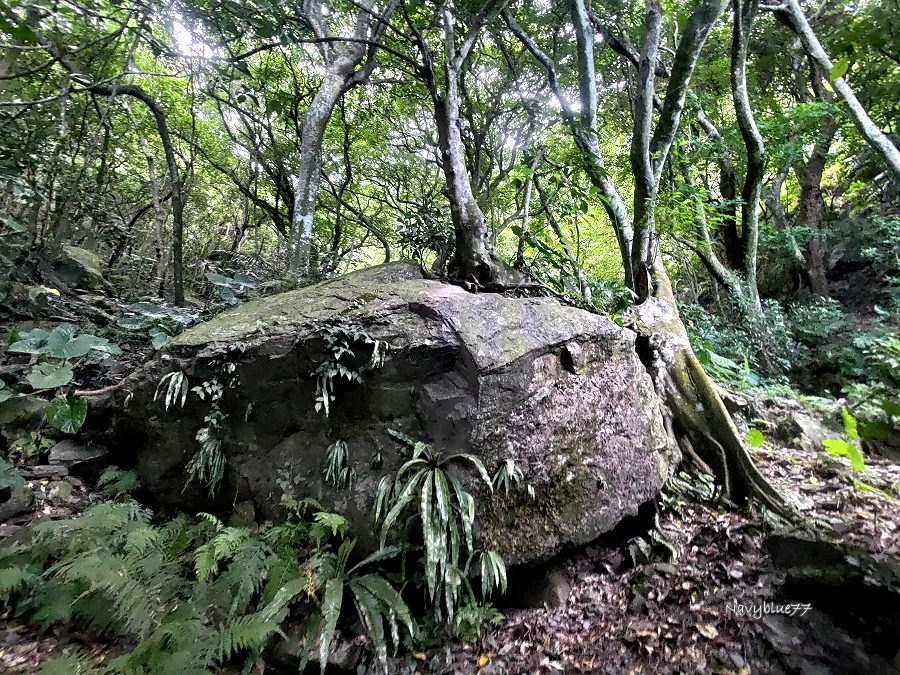 神祕海灘 (46).jpg