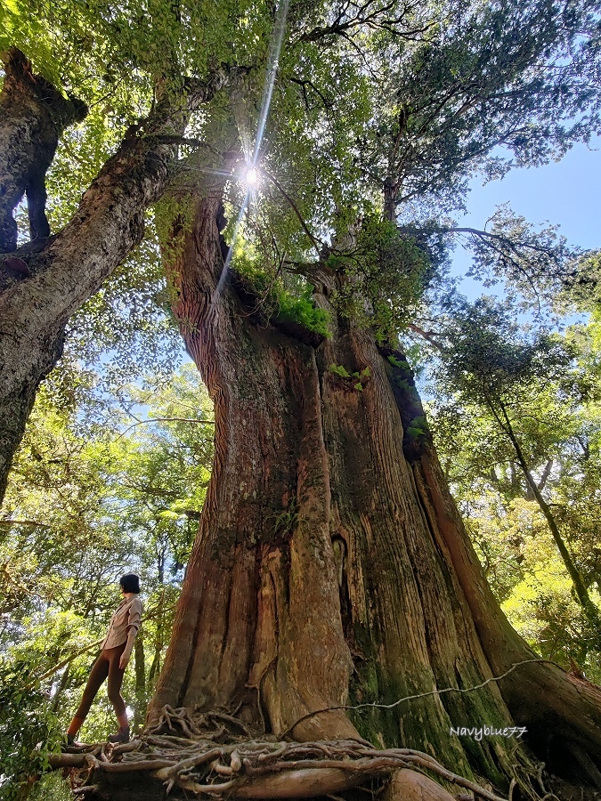 羅馬縱走(44).jpg