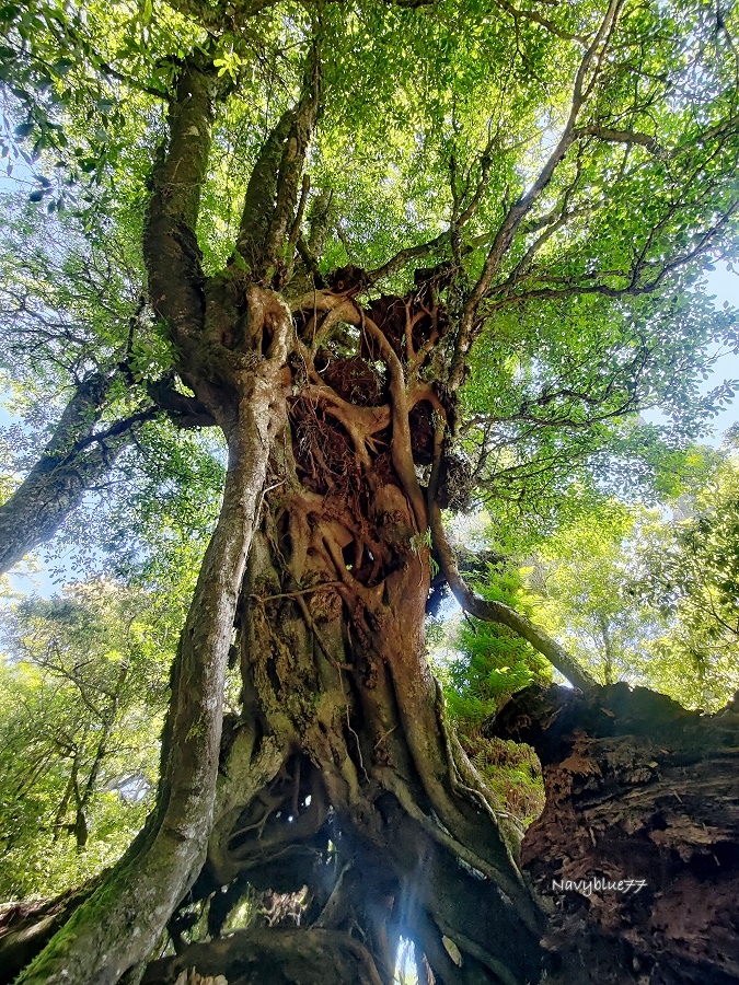 羅馬縱走(52).jpg