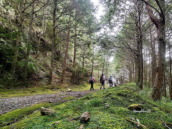 北三錐山 (11).jpg