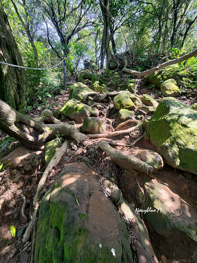 鶯歌石山O形 (14).jpg