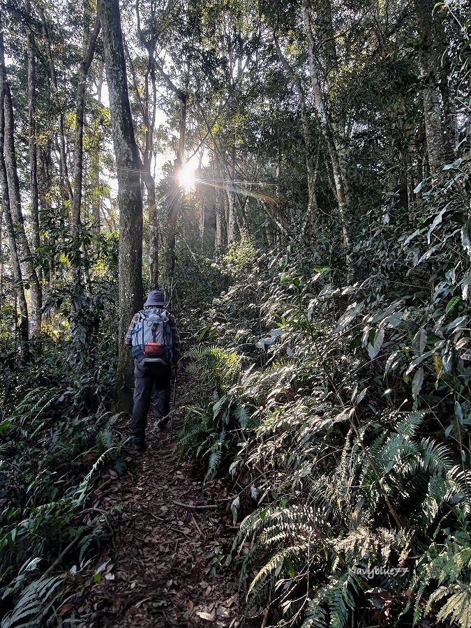 西巒大山 (7).jpg