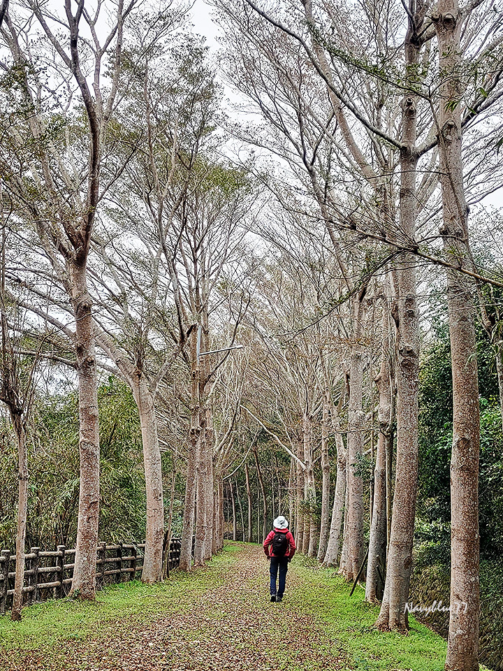 南十八尖山 (3).jpg