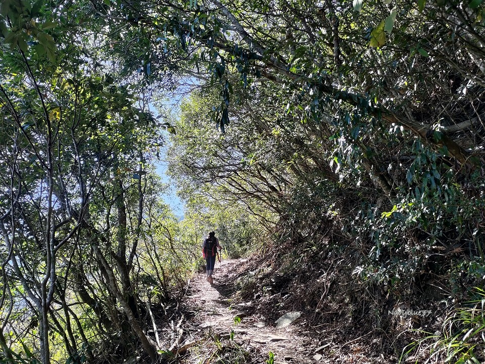 阿禮井步山 (6).jpg