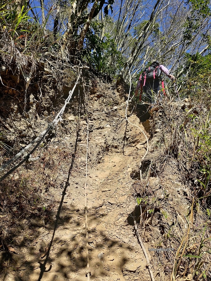 阿禮井步山 (8).jpg