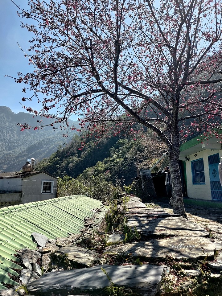 阿禮井步山 (25).jpg