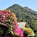 白賓山 (44).jpg