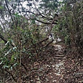 三地山 (4).jpg