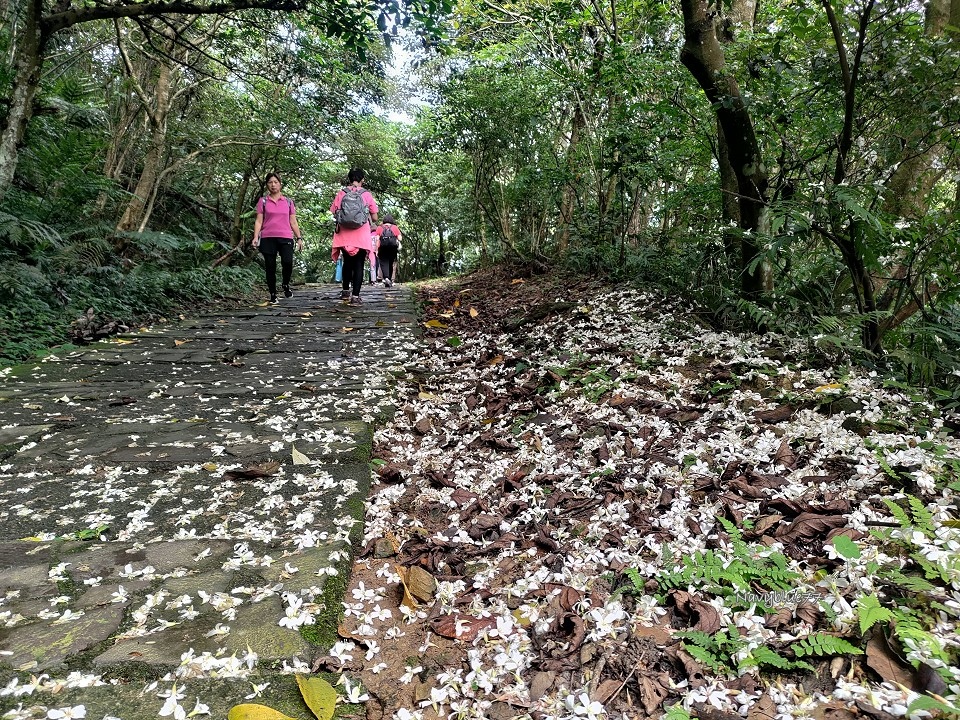 山中湖O形 (3).jpg 山中湖O形 (3).jpg