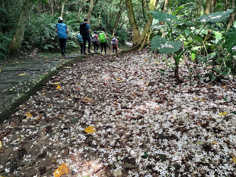 山中湖O形 (5).jpg 山中湖O形 (5).jpg