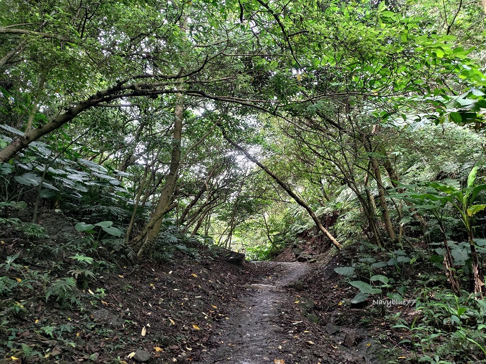 山中湖O形 (6).jpg 山中湖O形 (6).jpg