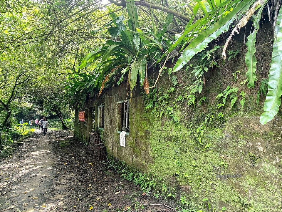 山中湖O形 (9).jpg 山中湖O形 (9).jpg