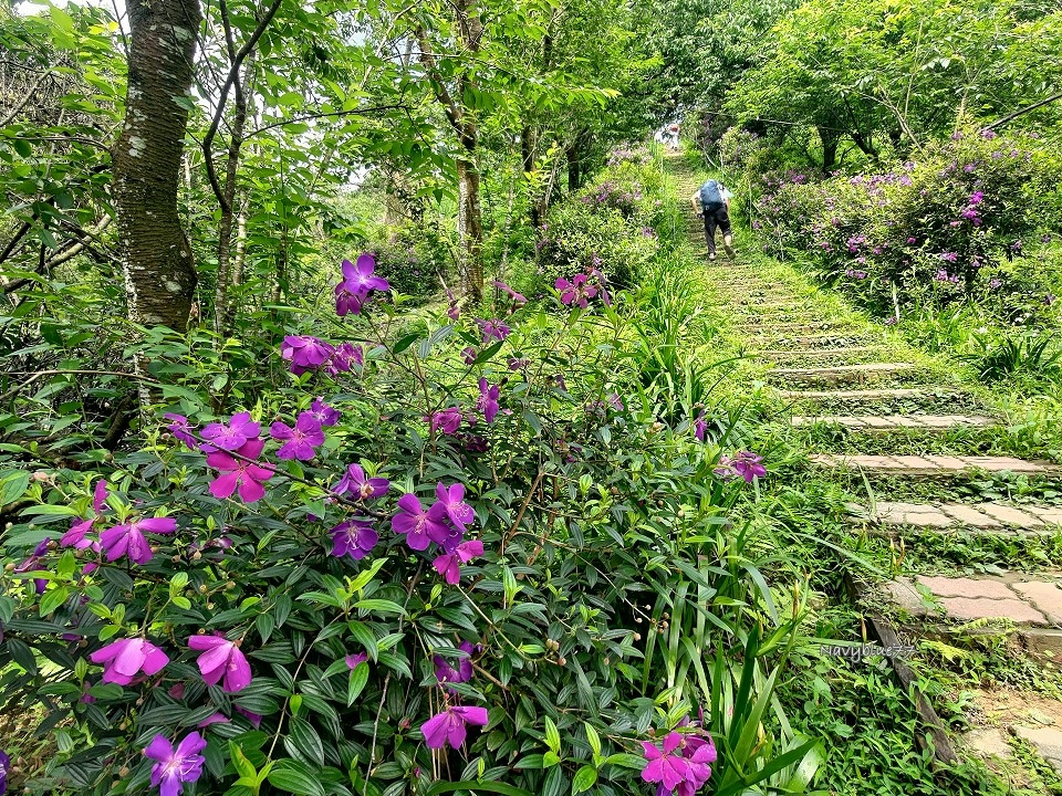 山中湖O形 (12).jpg 山中湖O形 (12).jpg