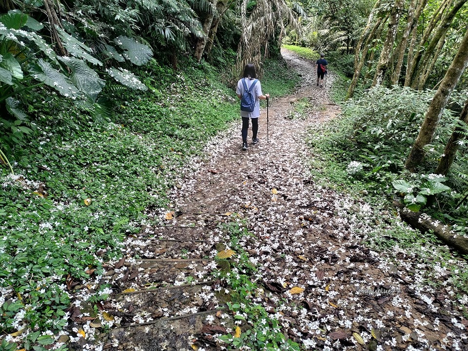 山中湖O形 (8).jpg 山中湖O形 (8).jpg