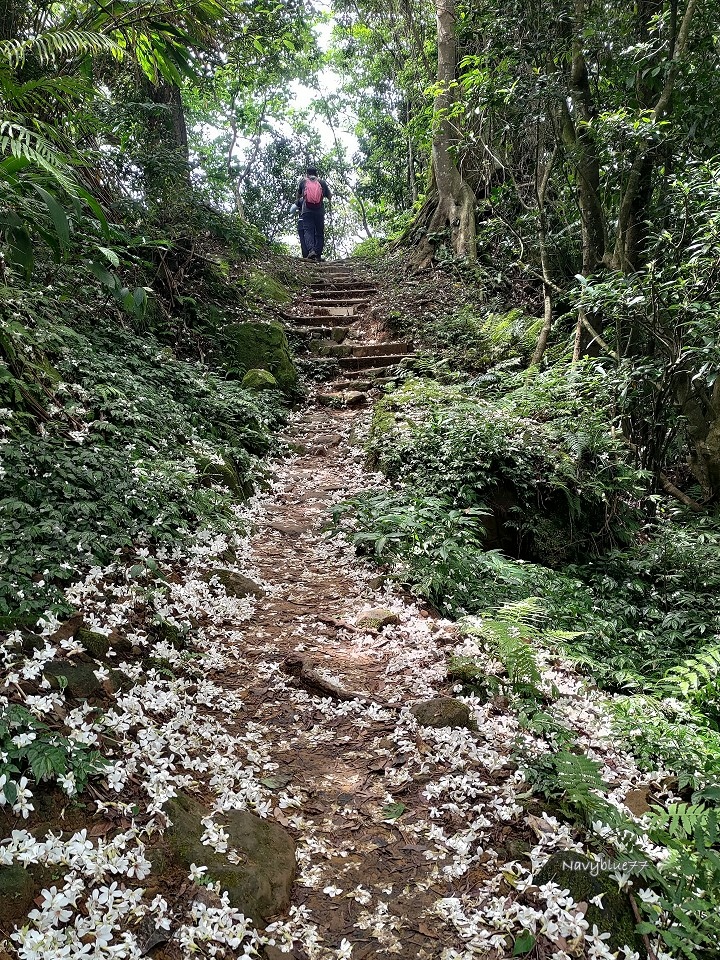 山中湖O形 (19).jpg