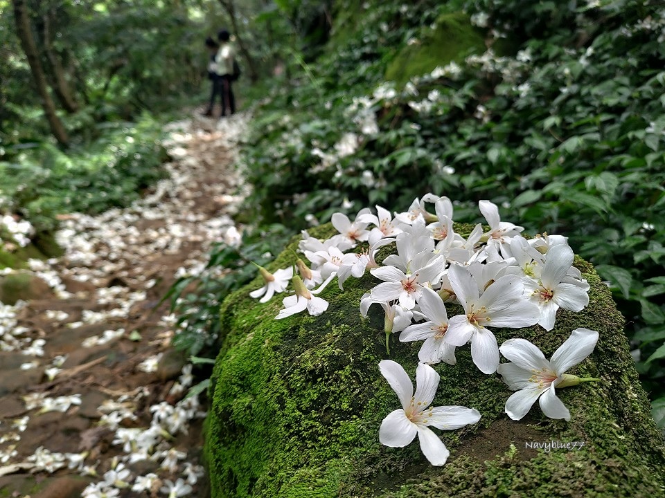 山中湖O形 (20).jpg 山中湖O形 (20).jpg