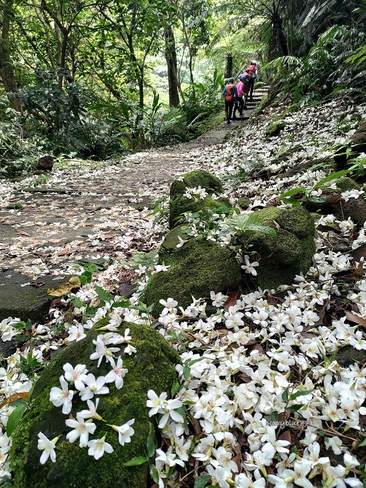 山中湖O形 (24).jpg 山中湖O形 (24).jpg