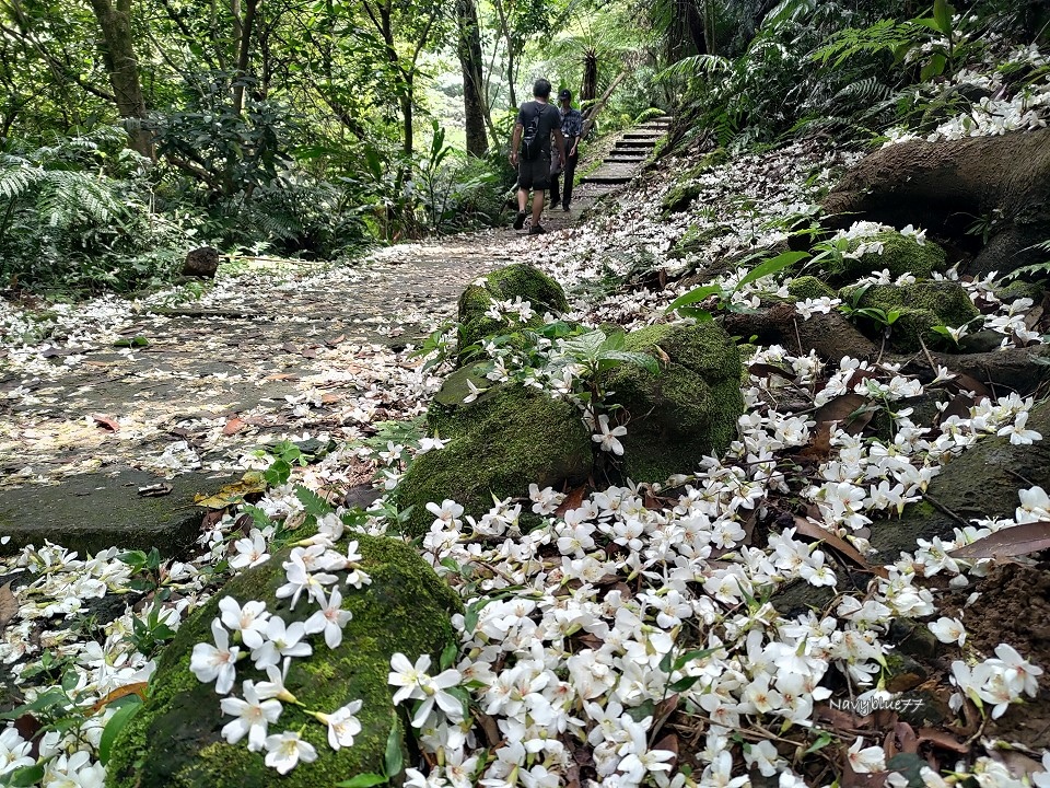 山中湖O形 (23).jpg 山中湖O形 (23).jpg