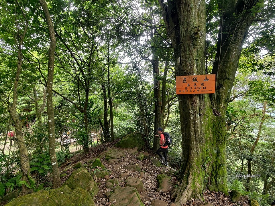 山中湖O形 (36).jpg