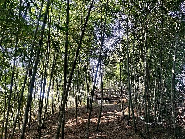 水里馬路馬山線浸山 (10).jpg