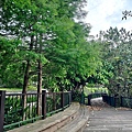 日月潭土亭仔燈塔 (23).jpg