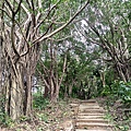 黃埔三星 (2).jpg
