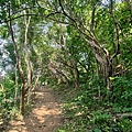 黃埔三星 (9).jpg
