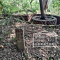 黃埔三星 (7).jpg