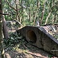 黃埔三星 (12).jpg