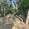 黃埔三星 (14).jpg