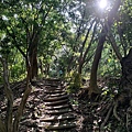 黃埔三星 (13).jpg