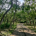 黃埔三星 (23).jpg