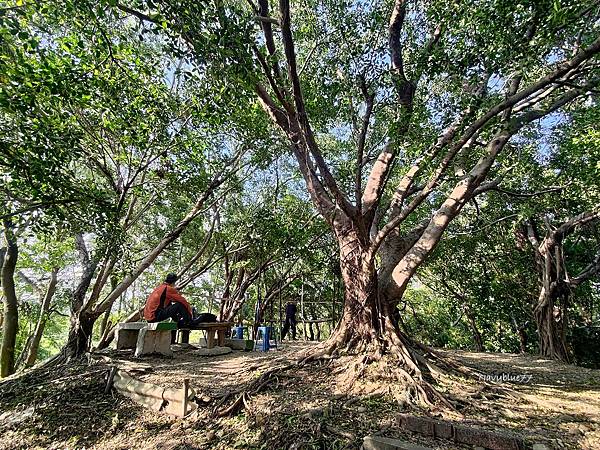 黃埔三星 (20).jpg