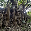 黃埔三星 (25).jpg