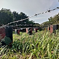 黃埔三星 (27).jpg