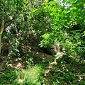 牧丹石門山 (7).jpg
