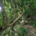 牧丹石門山 (8).jpg