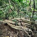 牧丹石門山 (12).jpg