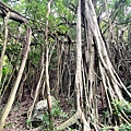 牧丹石門山 (16).jpg